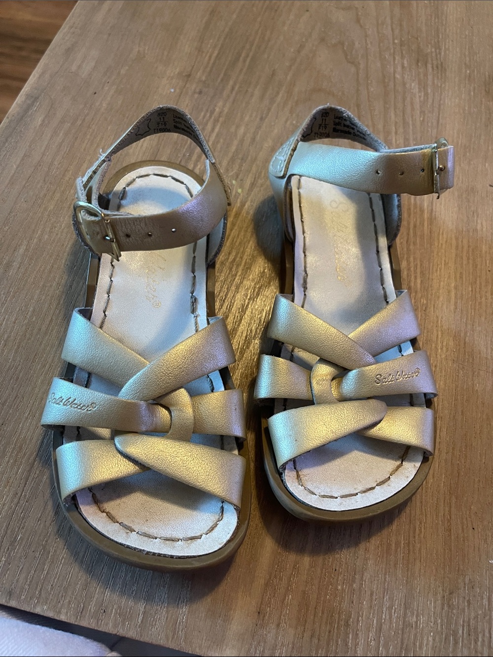 Salt Water Sandals by Hoy Metallic Gold Kids Sandals